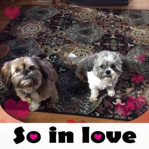 Meet your Posher, Marie